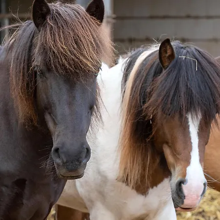 Διαμέρισμα Roderath