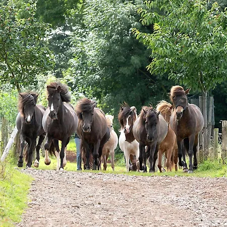 Roderath Διαμέρισμα Nettersheim