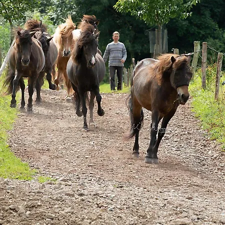 Διαμέρισμα Roderath *