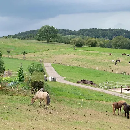 Roderath Apartamento