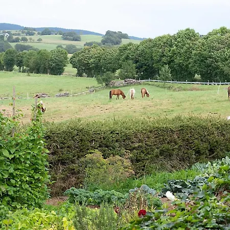 Διαμέρισμα Roderath Nettersheim