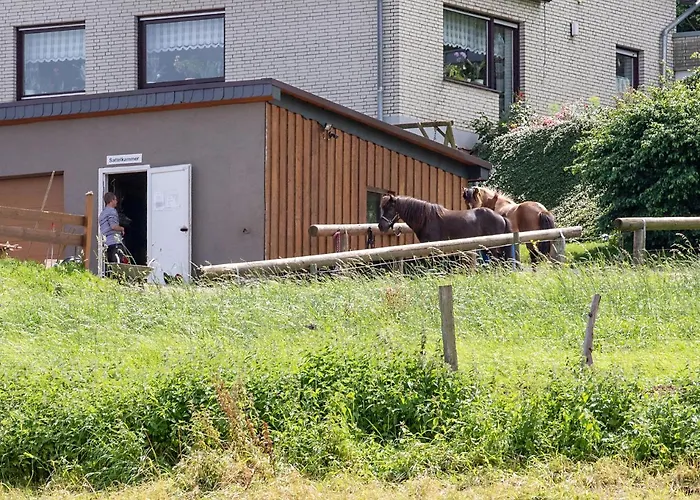 Roderath 아파트 *