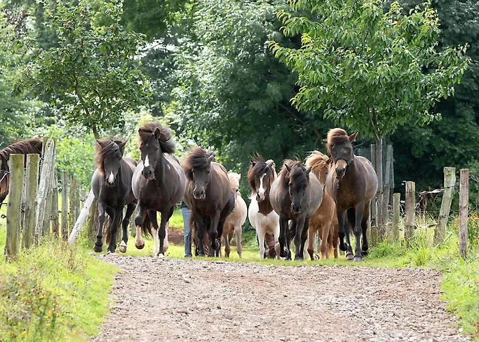 Roderath 아파트 Nettersheim
