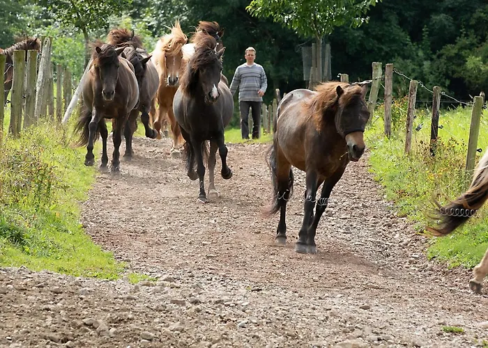 아파트 Roderath *