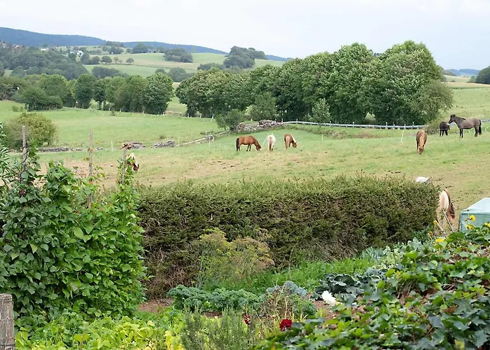 Apartmán Roderath Nettersheim